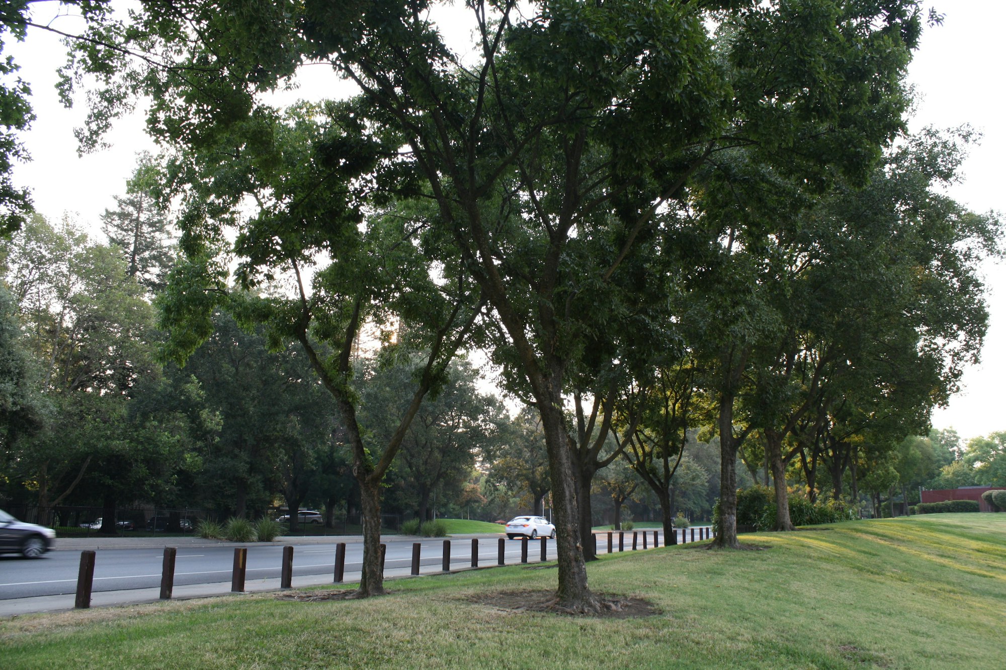 Sierra Creek Park