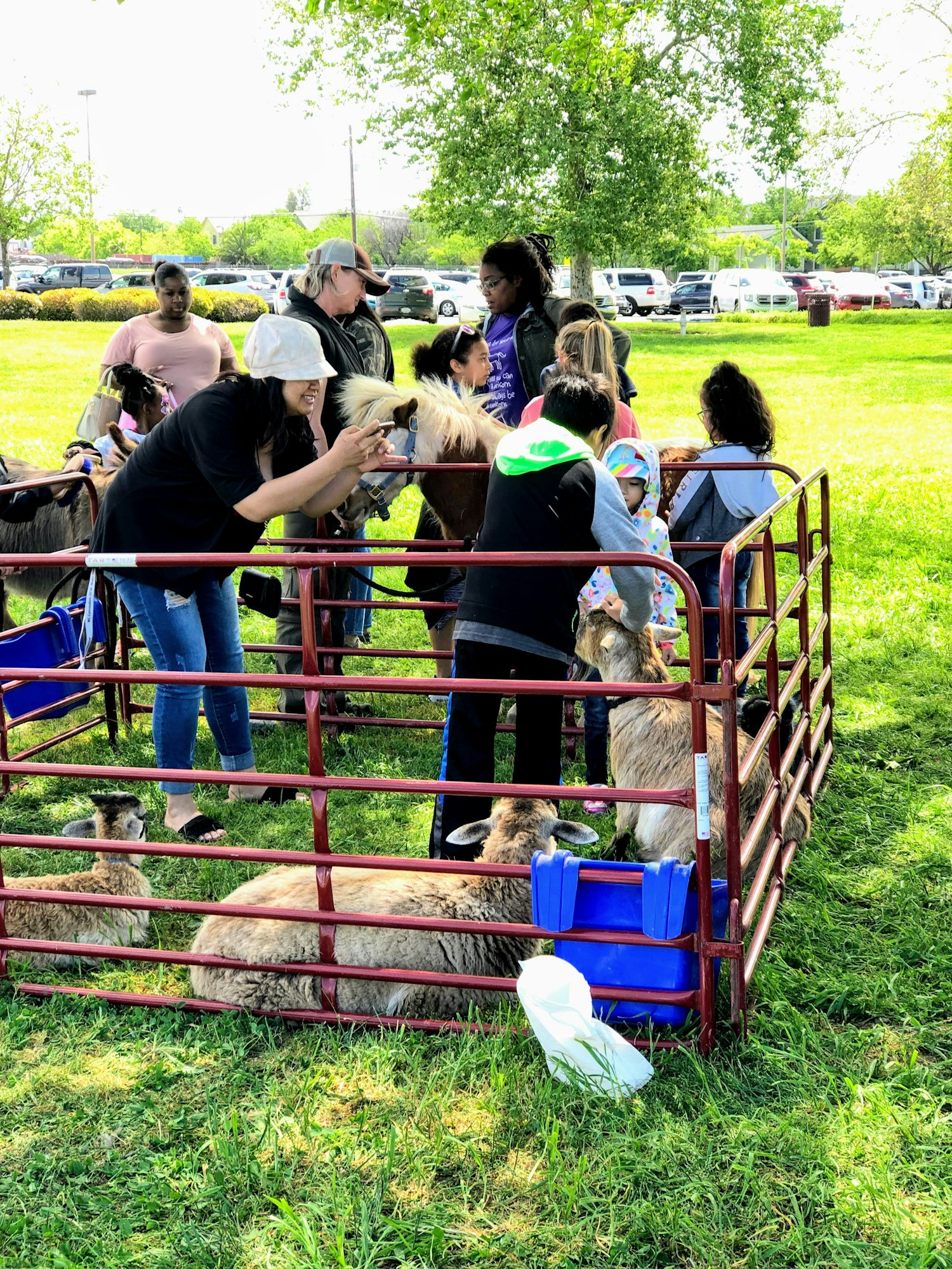 Spring Fling event petting zoo
