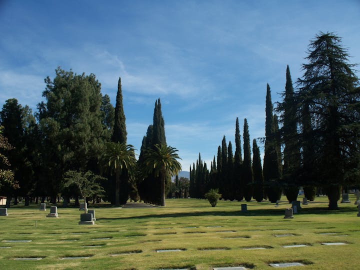 A peaceful cemetery scene with tall trees, palm trees, and well-maintained grass under a clear blue sky.