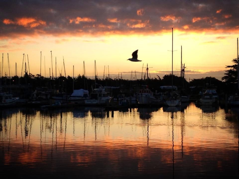 A serene harbor at sunset, featuring sailboats and a bird flying over reflecting waters. Beautiful colors in the sky.