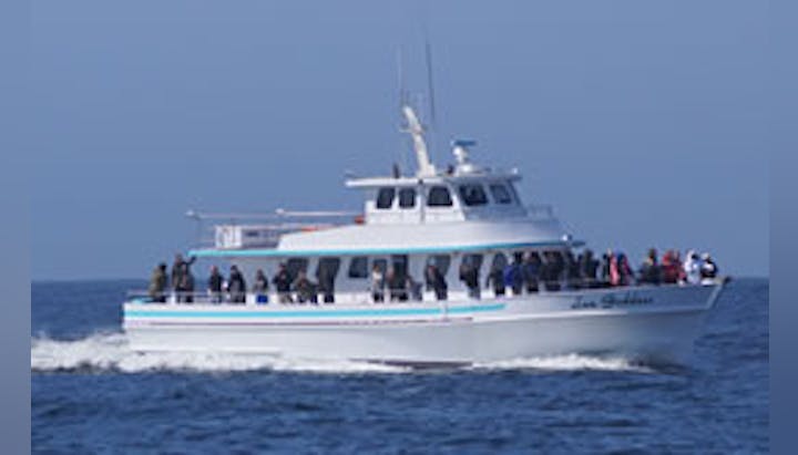May contain: transportation, vehicle, yacht, boat, and ferry