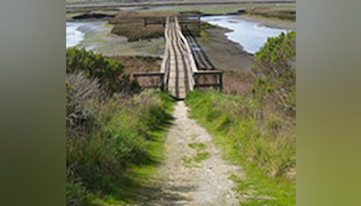 May contain: path, nature, outdoors, trail, boardwalk, bridge, walkway, water, and land