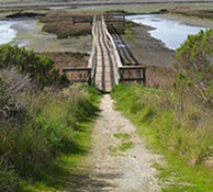 May contain: path, nature, outdoors, trail, boardwalk, bridge, walkway, water, and land