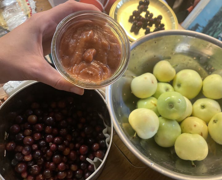 A hand holding a jar of sauce, with bowls of green apples and dark grapes nearby.
