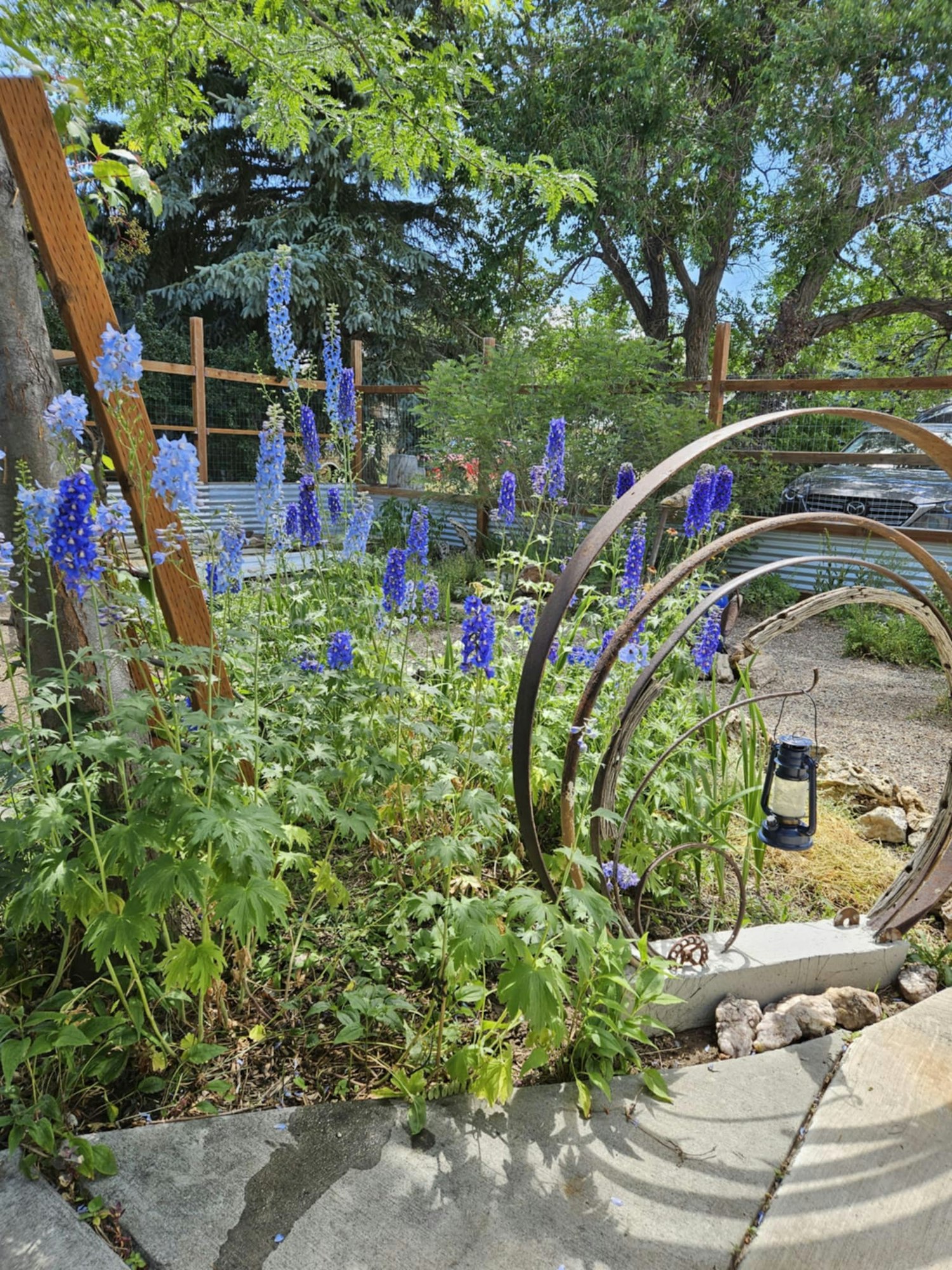 Garden scene with blue flowers, metal spiral sculpture, stone path, trees, and a lantern hanging from the sculpture.