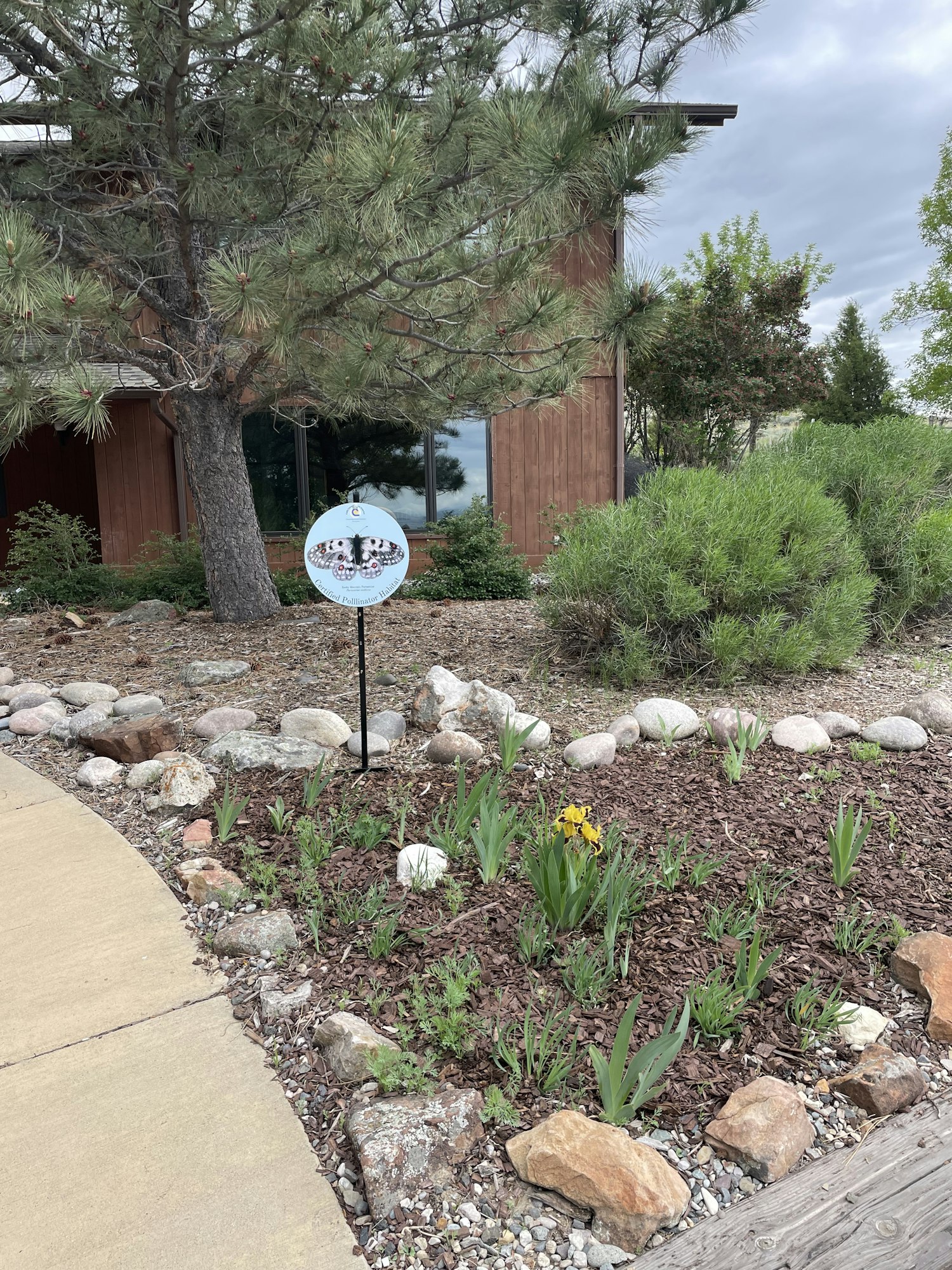 Pathway with rocks and plants, a brown building, tree, and a sign with bears on it.