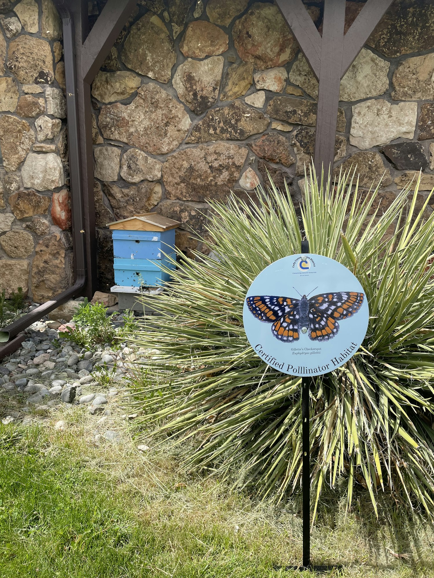 A sign with a butterfly design, labeled "Certified Pollinator Habitat," near a yucca plant, stone wall, and blue box.