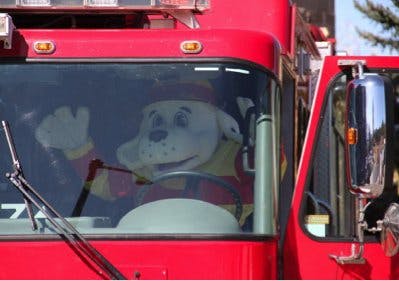 A person dressed as a Dalmatian firefighter mascot in a fire truck, waving.