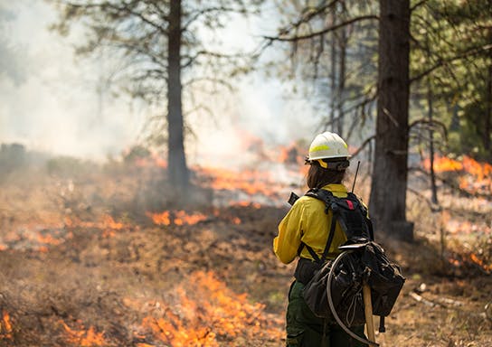 May contain: person, fire, and helmet
