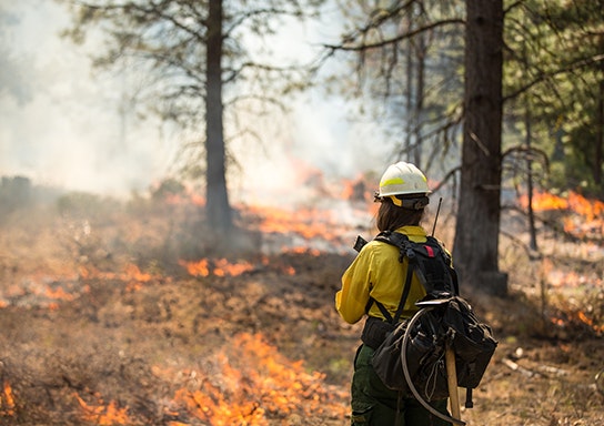 May contain: person, fire, and helmet