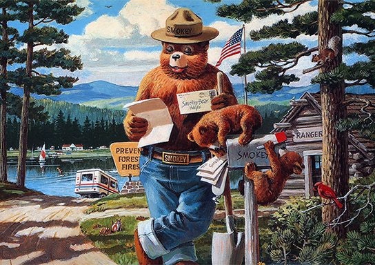 A bear in a hat and jeans checking mail by a "Prevent Forest Fires" sign, with a cabin and lake in the background.