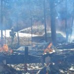 A burnt forest with small flames, charred trees, and smoke indicating a recent wildfire.
