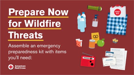 Wildfire preparedness infographic with emergency kit items, by American Red Cross.