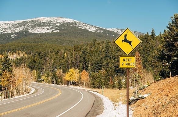 A road sign warns of deer crossing for the next 2 miles, with a snowy mountain landscape in the background.