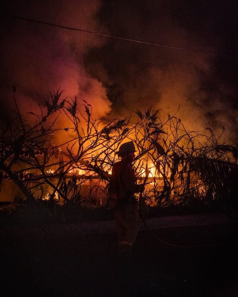 A firefighter stands near a raging fire engulfing trees and structures in a smoky, dark scene.