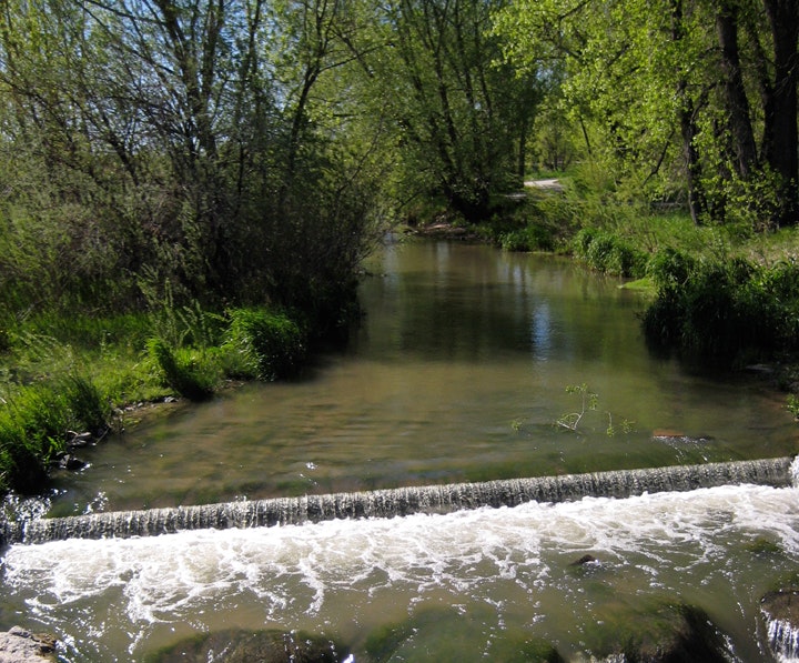 A serene river with a small waterfall, surrounded by lush greenery under a bright blue sky.