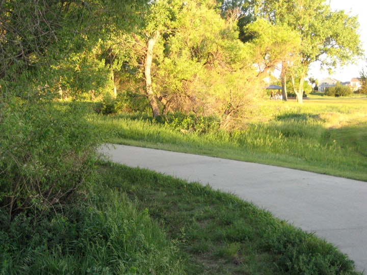 A curving sidewalk in a green park with trees and grass at sunset.