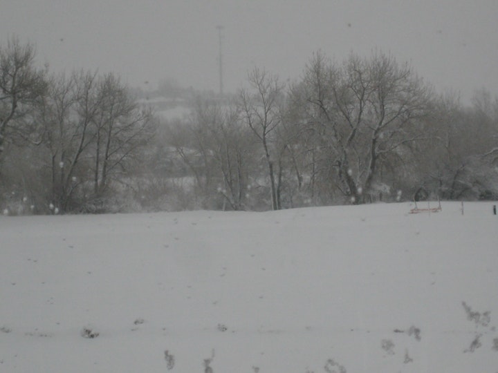 A snowy landscape with trees and a faint view of structures in the distance.