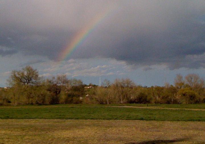 A rainbow over a green field with trees and a cloudy sky.