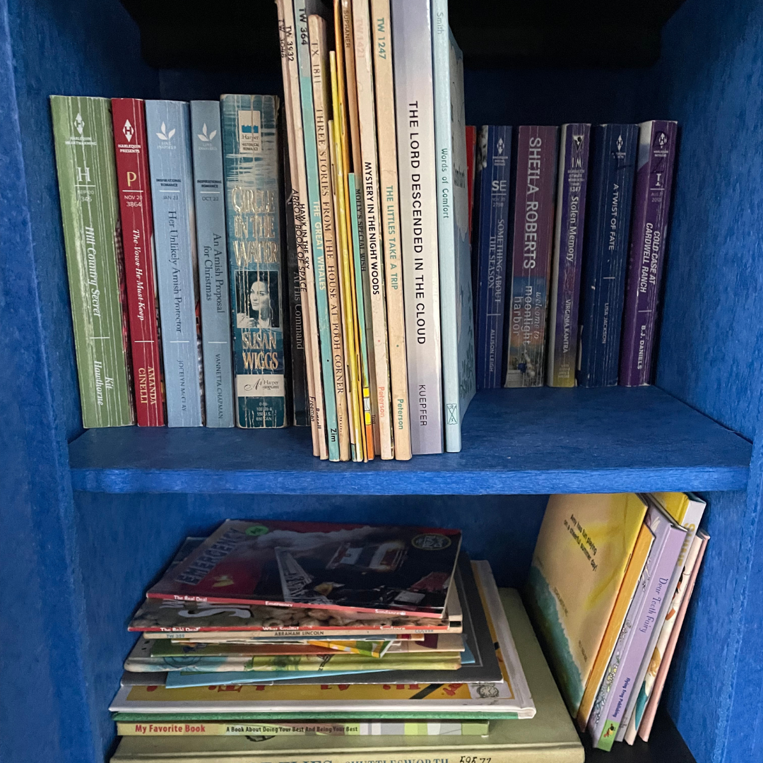 A blue bookshelf with various books and magazines stacked and lined up on two shelves.