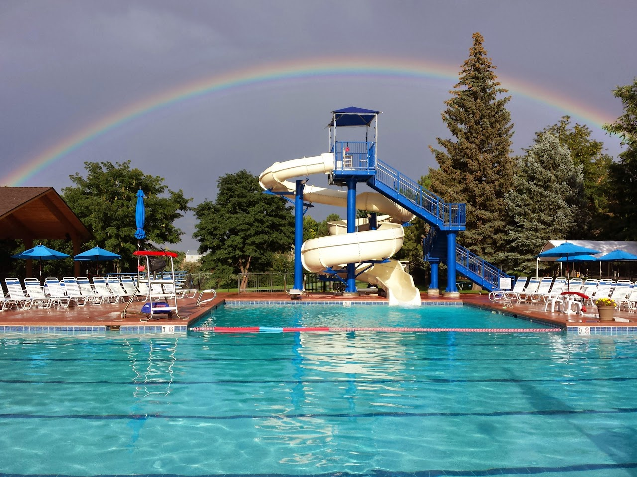 May contain: water, pool, outdoors, plant, tree, swimming pool, architecture, building, hotel, and resort