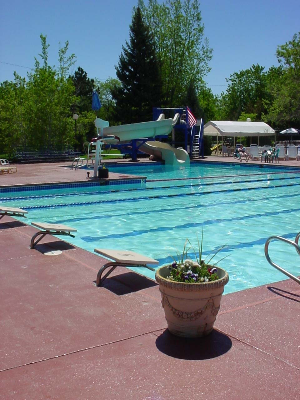 The image shows an outdoor swimming pool with a slide, diving boards, chairs, and a potted plant nearby. Bright sunny day.