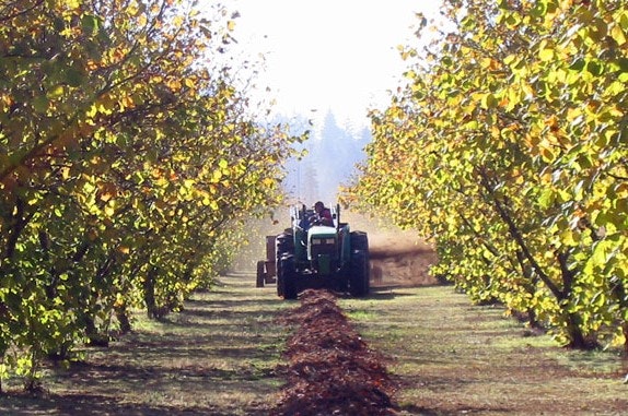 May contain: outdoors, nature, farm, countryside, and rural