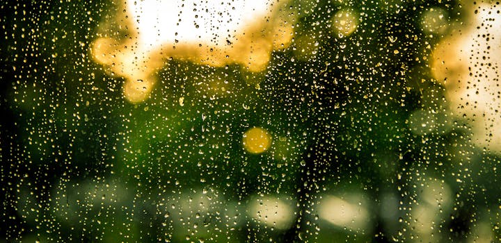Raindrops on a window with blurred trees and golden light in the background.