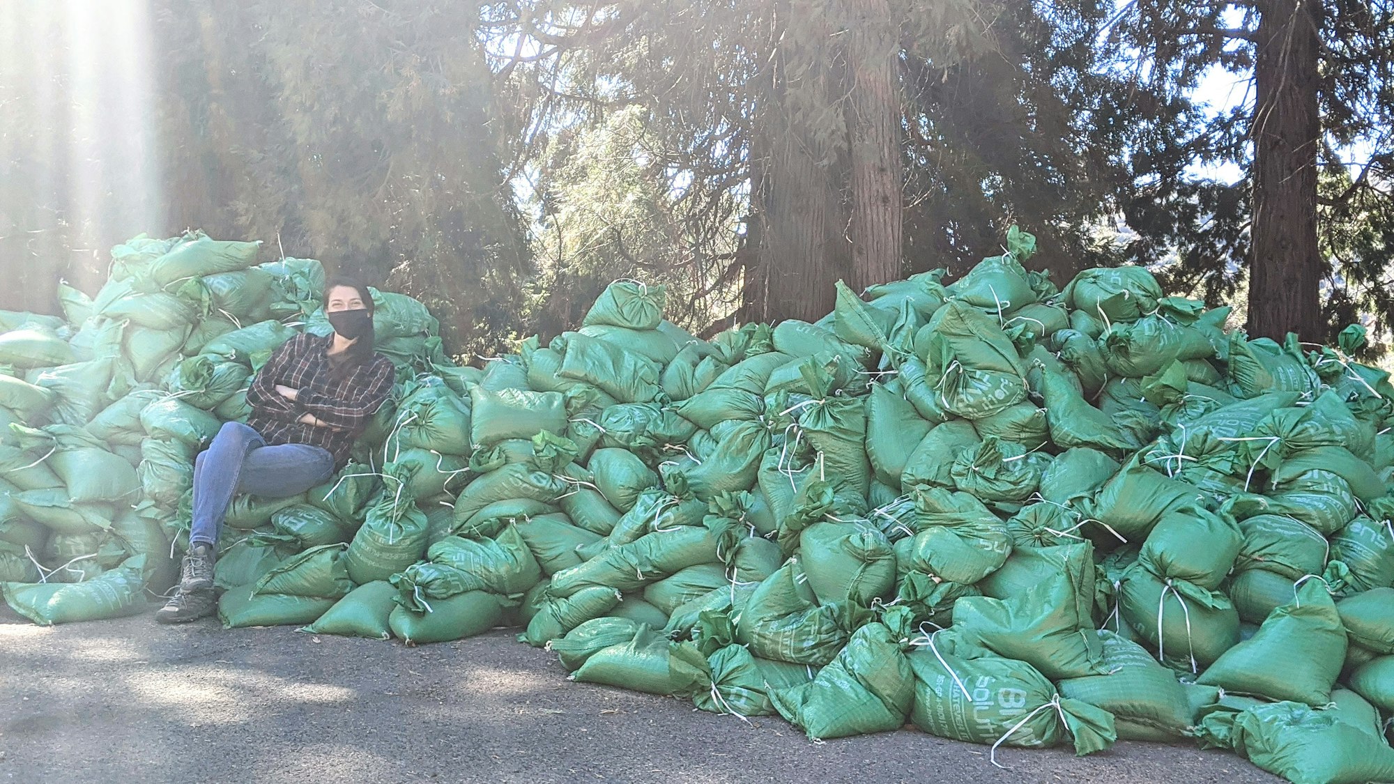 May contain: bag, person, clothing, footwear, shoe, plant, and vegetation