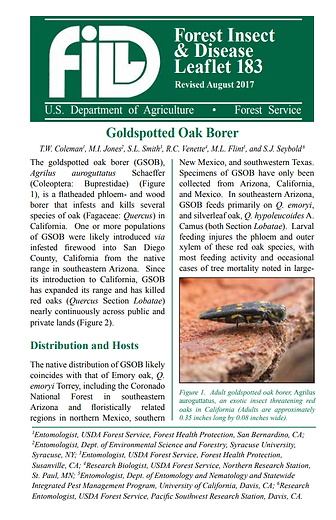 May contain: advertisement, poster, page, text, animal, insect, and invertebrate