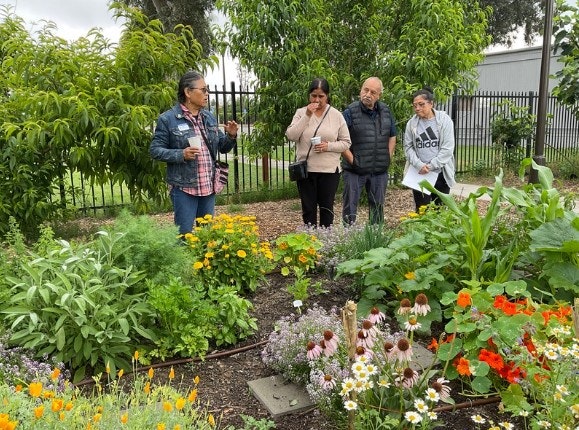 A group discusses a garden, surrounded by vibrant flowers and greenery, while one person leads the conversation.