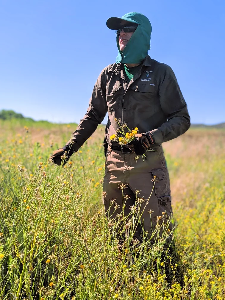 May contain: grass, plant, outdoors, field, person, and nature