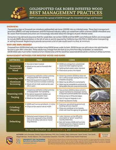 May contain: advertisement, poster, and person