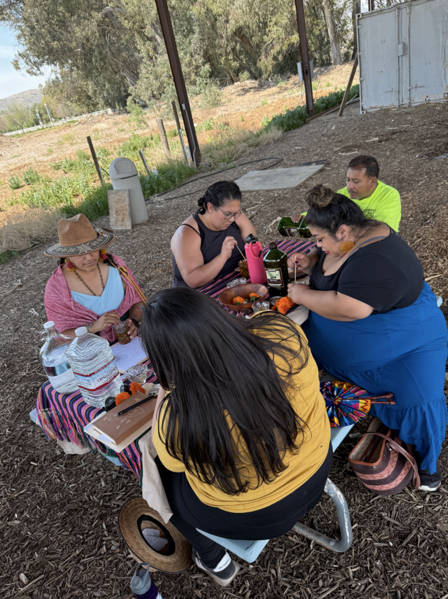A group of people sitting outside, enjoying a meal and drinks together, surrounded by nature and cultural elements.