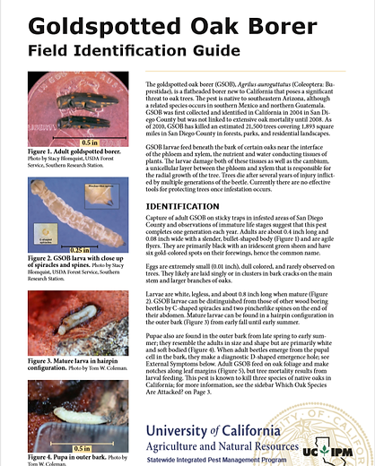 May contain: advertisement, poster, page, and text