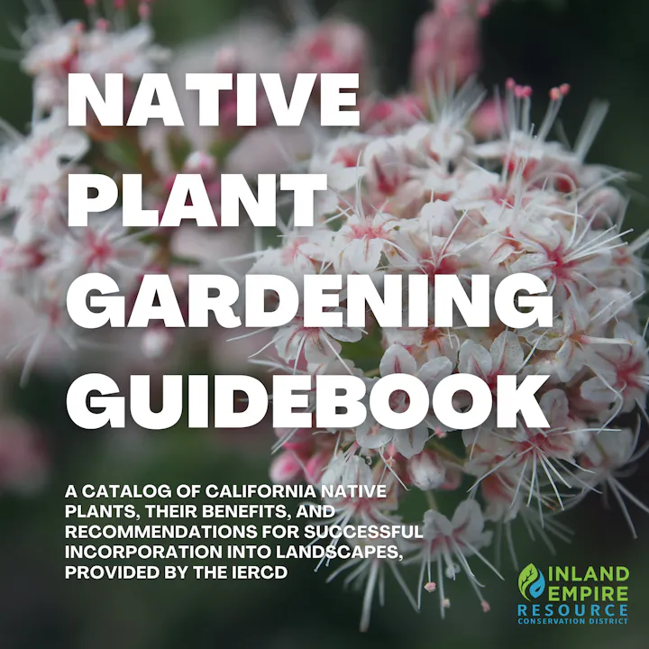 A guidebook on California native plants, detailing their benefits and landscaping tips, by the Inland Empire Resource Conservation District.