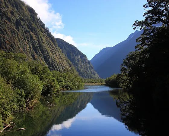 May contain: outdoors, nature, plant, vegetation, scenery, water, land, tree, woodland, lake, and river