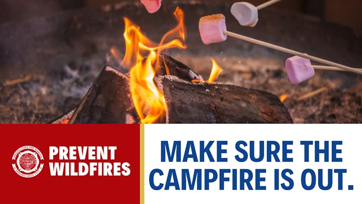 Marshmallows toasting over a campfire. Text: "Prevent Wildfires. Make sure the campfire is out."