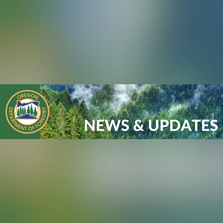 Oregon Department of Forestry logo with forest background and "News & Updates" text.