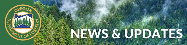 Oregon Department of Forestry logo with forest background and "News & Updates" text.