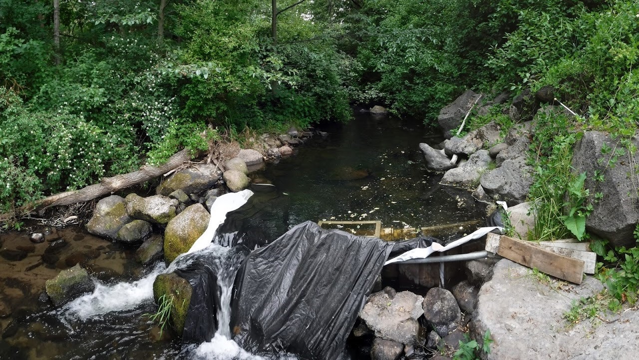 May contain: pond, nature, outdoors, water, rock, stream, vegetation, plant, creek, rainforest, land, tree, wilderness, scenery, and woodland