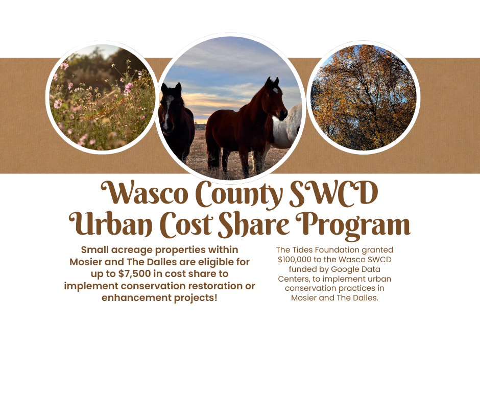 Wasco County SWCD Urban Cost Share Program offers up to $7,500 for conservation projects. Funded by Tides Foundation and Google Data Centers.