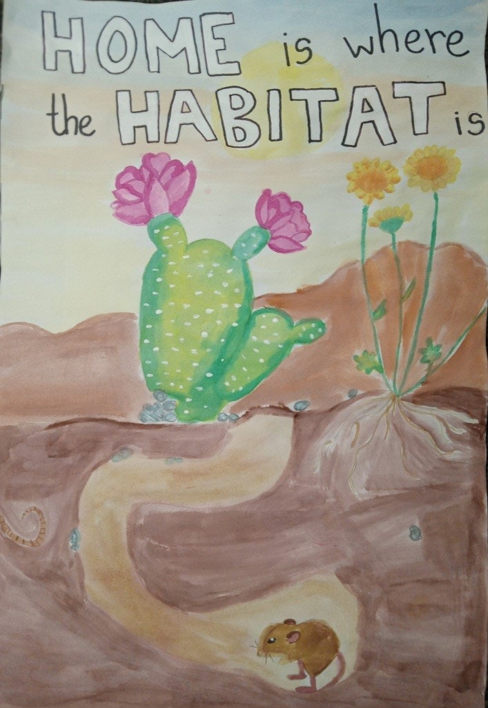 Cactus, flowers, and a mouse in a burrow under desert soil with text "HOME is where the HABITAT is."