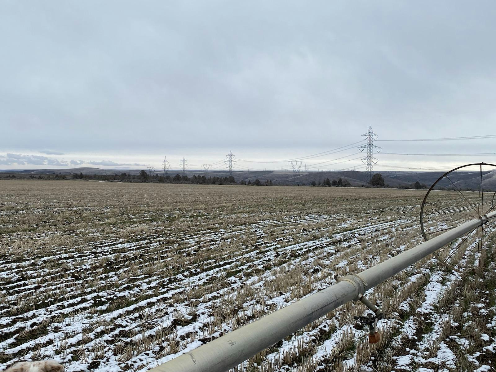 May contain: ground, horizon, sky, outdoors, nature, and land