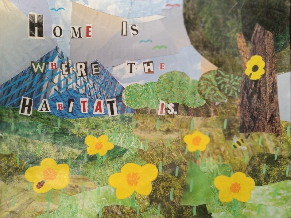 Collage of nature with text: "Home is where the habitat is" above flowers, trees, and a blue building.