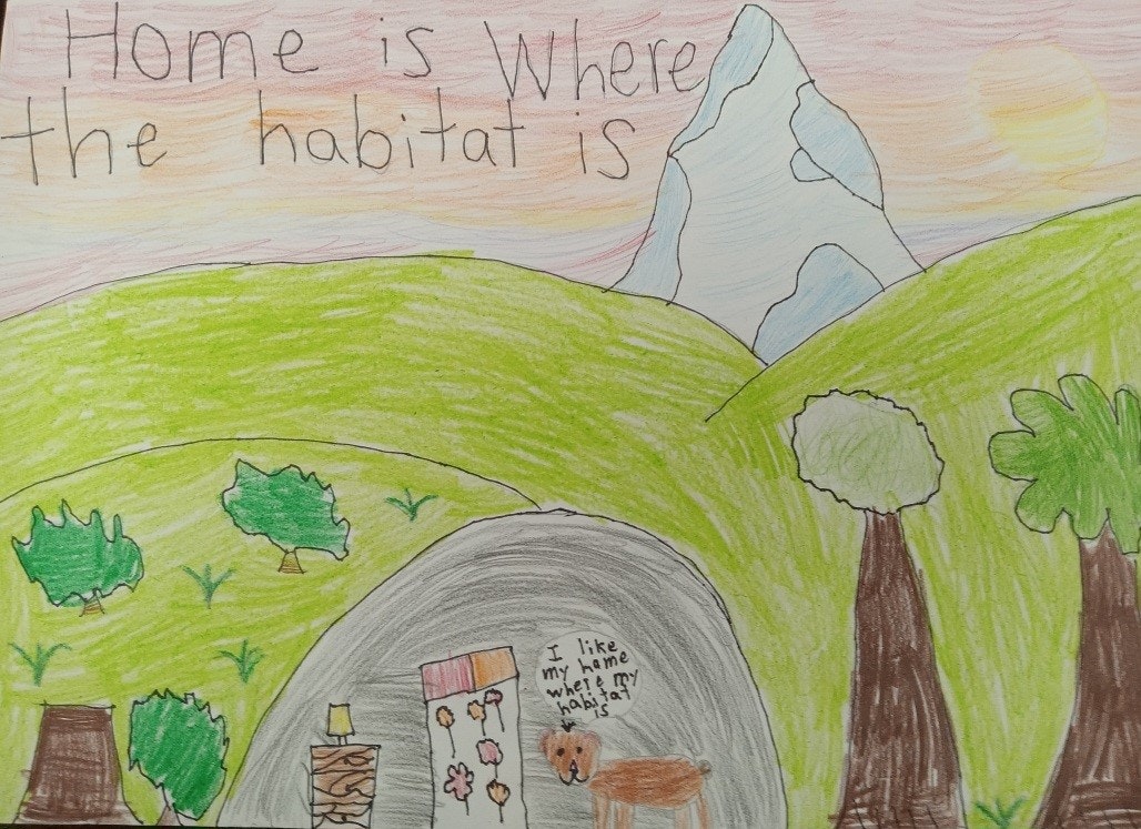 A child's drawing with mountains, hills, trees, a bear in a cave, and text: "Home is where the habitat is" and "I like my home, where my habitat is."