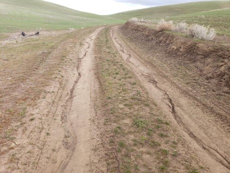 May contain: nature, outdoors, land, slope, field, and soil