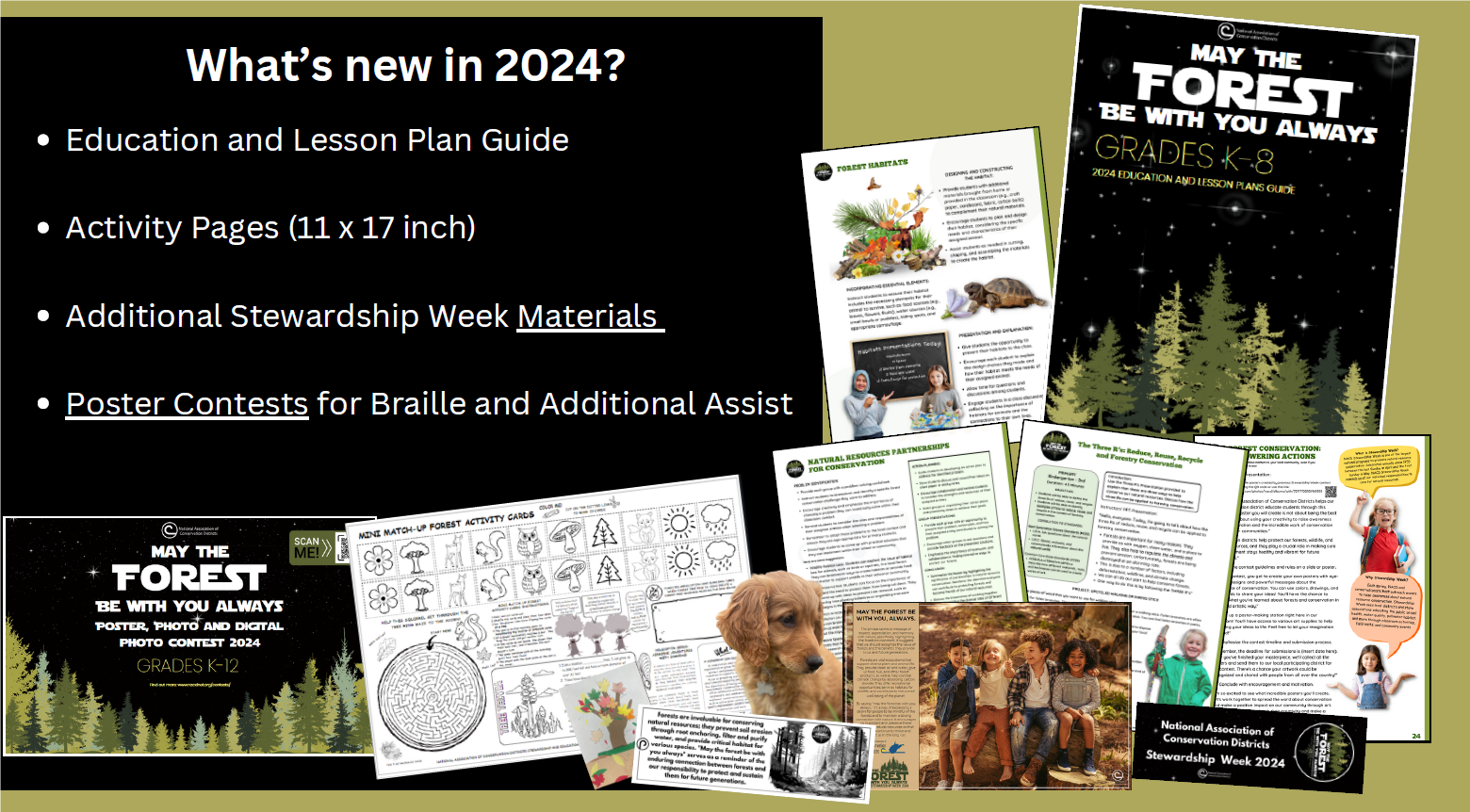 Educational materials, including a lesson plan guide, activity pages, stewardship materials, and poster contests for 2024.
