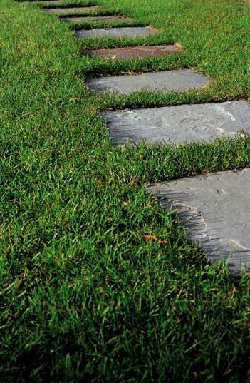 May contain: grass, plant, lawn, path, sidewalk, and walkway