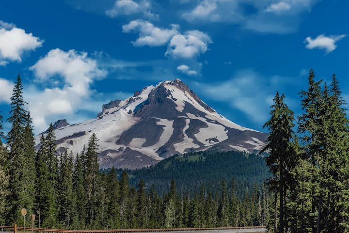 May contain: fir, plant, tree, conifer, mountain, mountain range, nature, outdoors, pine, scenery, peak, and spruce